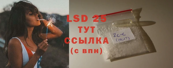 стаф Алексин