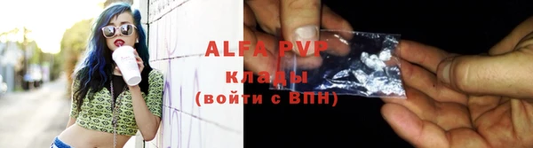 стаф Алексин