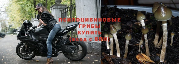 стаф Алексин