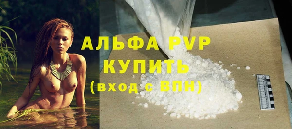 стаф Алексин